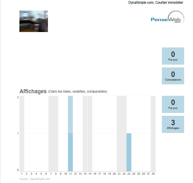 3 - Un nouvel onglet de votre navigateur contenant le rapport devrait s'ouvrir